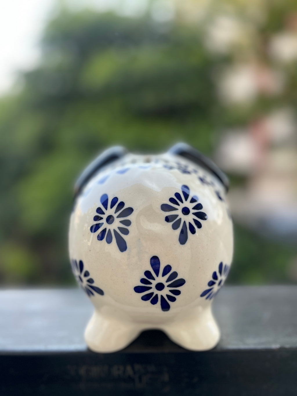 Pig Piggy Bank