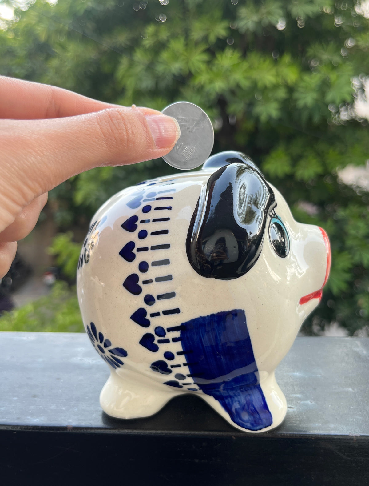 Pig Piggy Bank