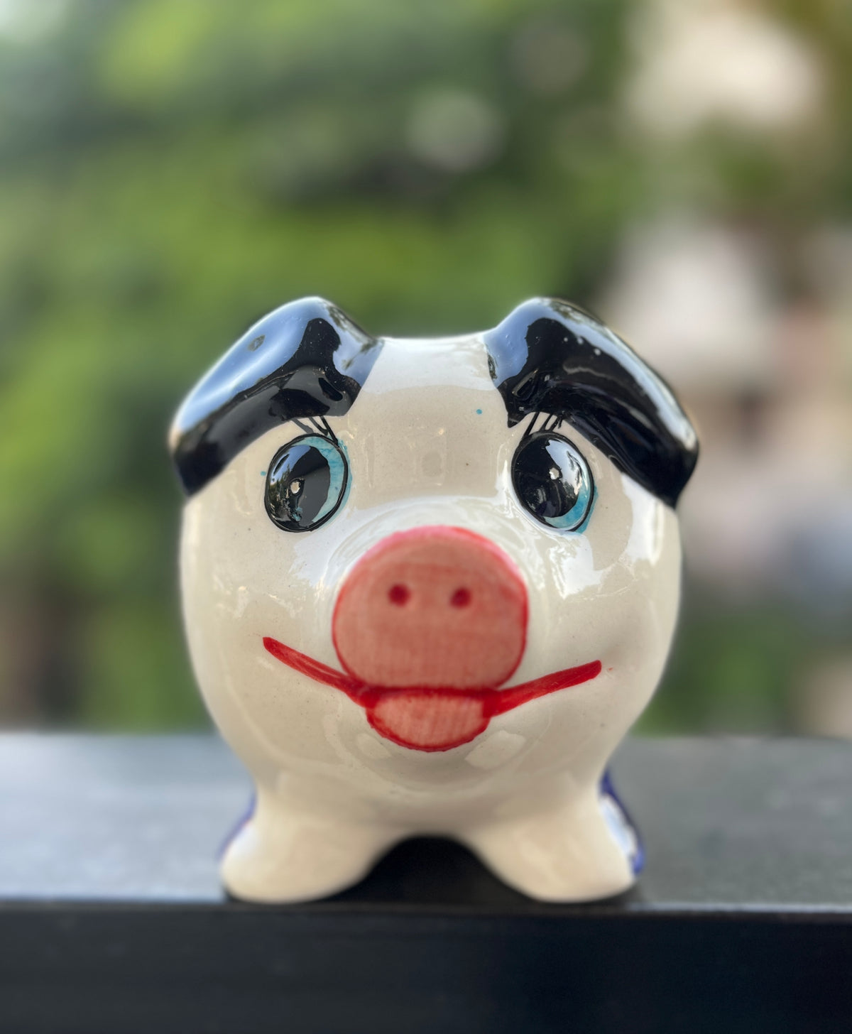Pig Piggy Bank